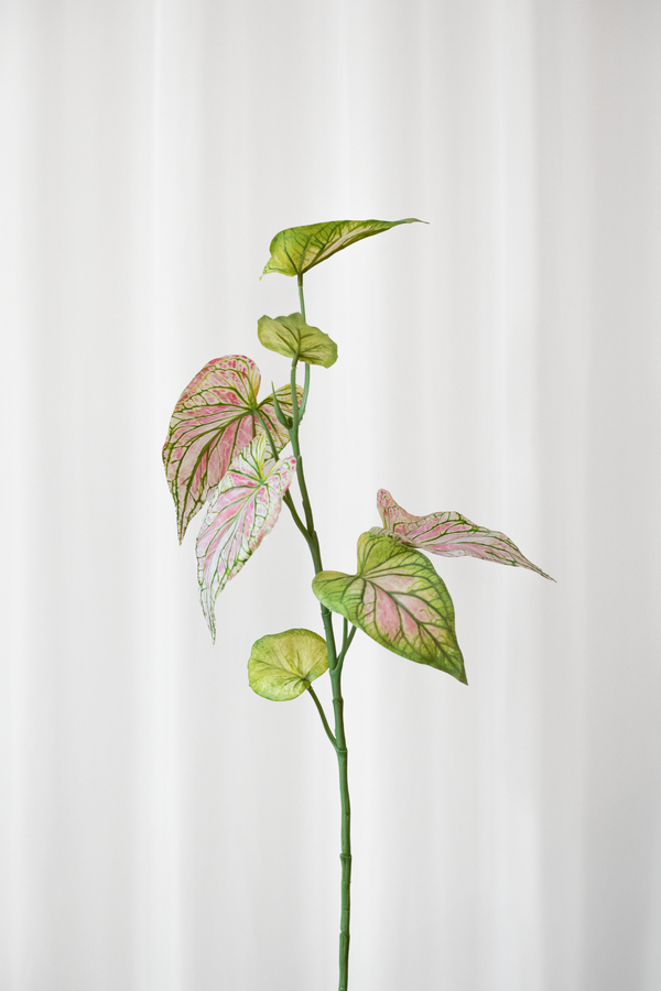 Kunstig caladium blad i grønne og lyserøde nuancer med naturnatro detaljer fra Specktrum.