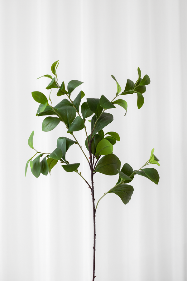 Packshots af kunstig ficus blad stilk i grøn. Baggrunden er et hvidt gardin.