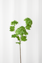 Hortensia Kunstig Blomst - Grøn | 3 Hovedet