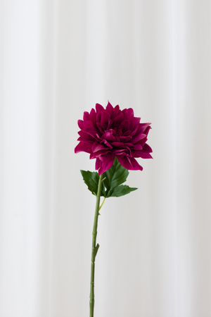 Naturtro kunstig dahlia blomst I hot pink med reel touch følelse.