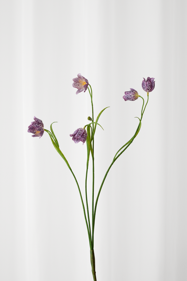 Klokkeblomst i lyselilla med naturtro detaljer.