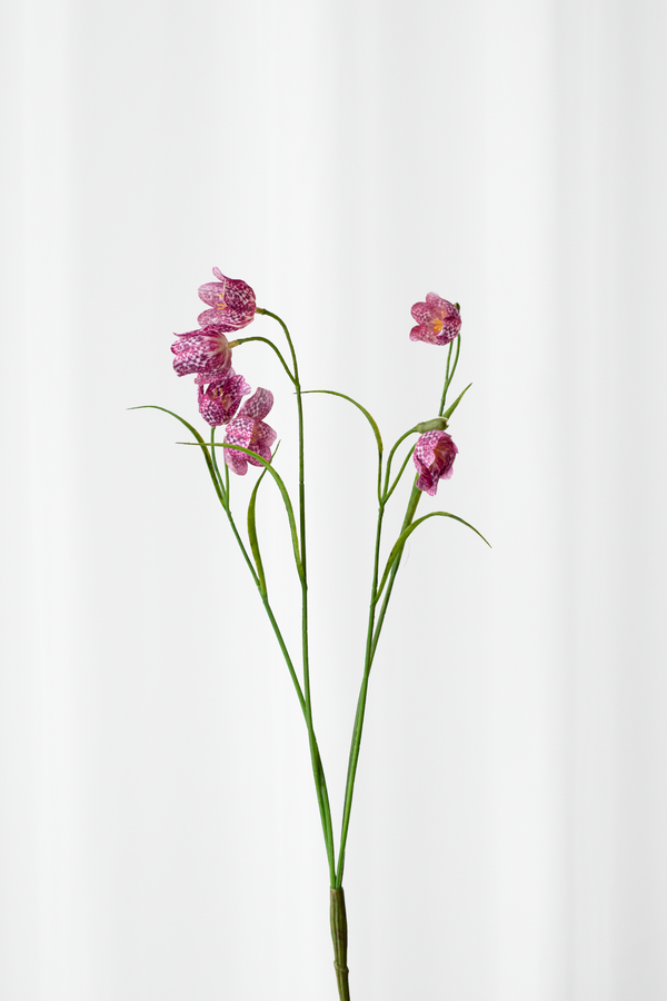 Klokkeblomst stilk I pink nuancer fra Specktrum.