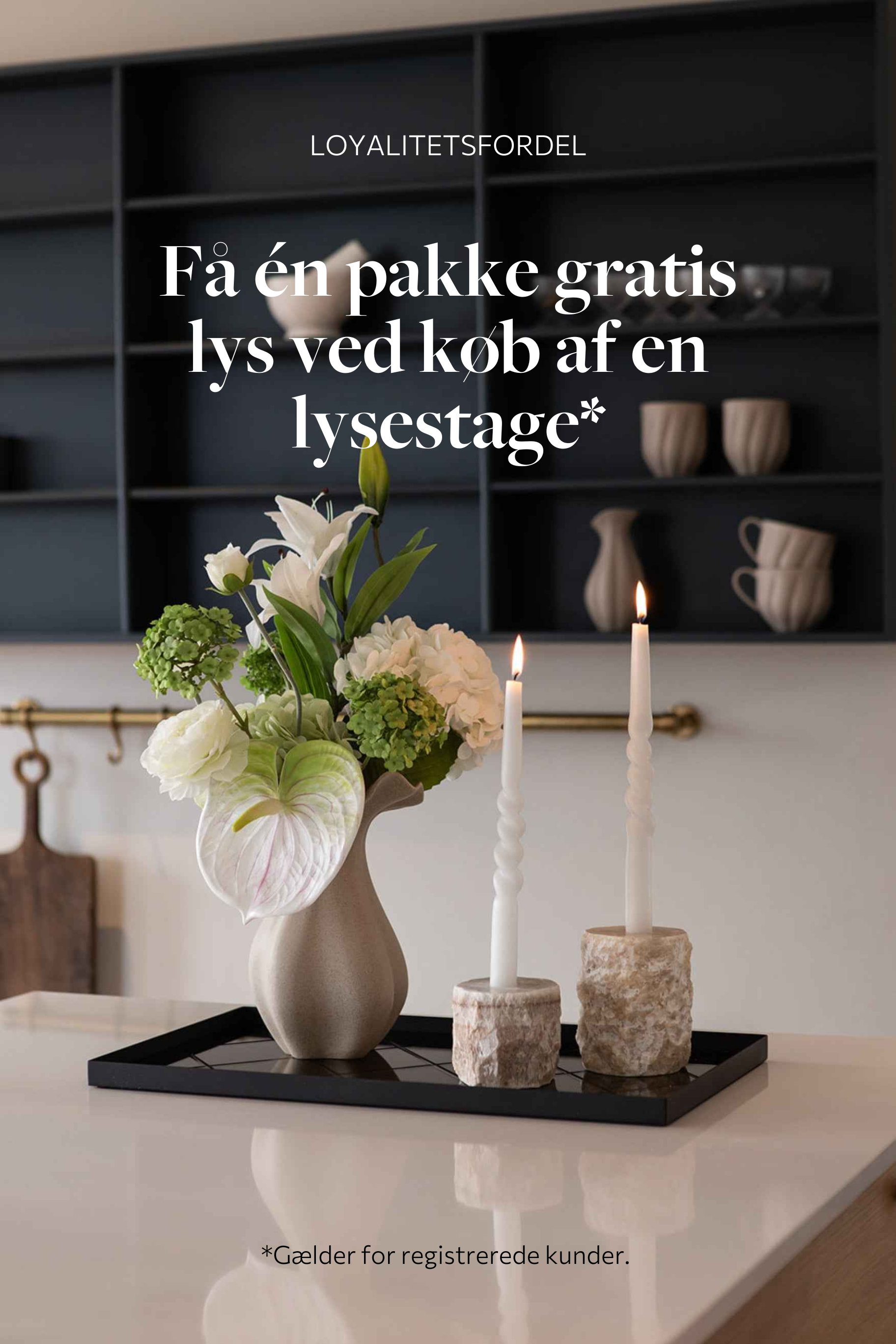 Ivy Lysestage - Lille