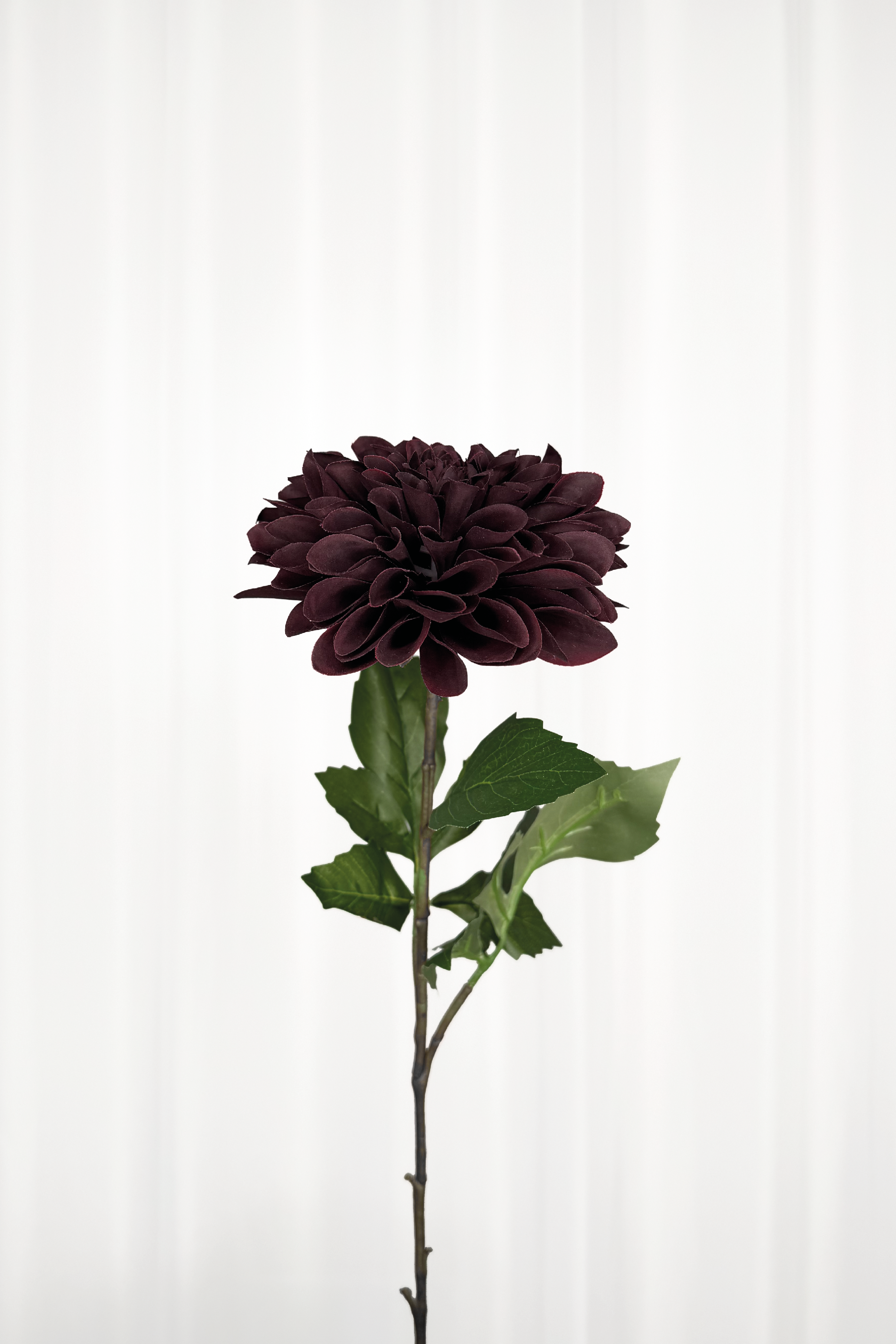 Naturtro kunstig krysantemum i burgundy.