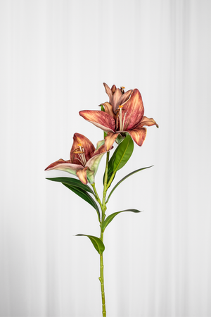 Kunstig Blomst - Bordeaux Stor Lilje gren