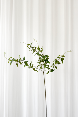 Kunstig Blomst - Grøn Klematis