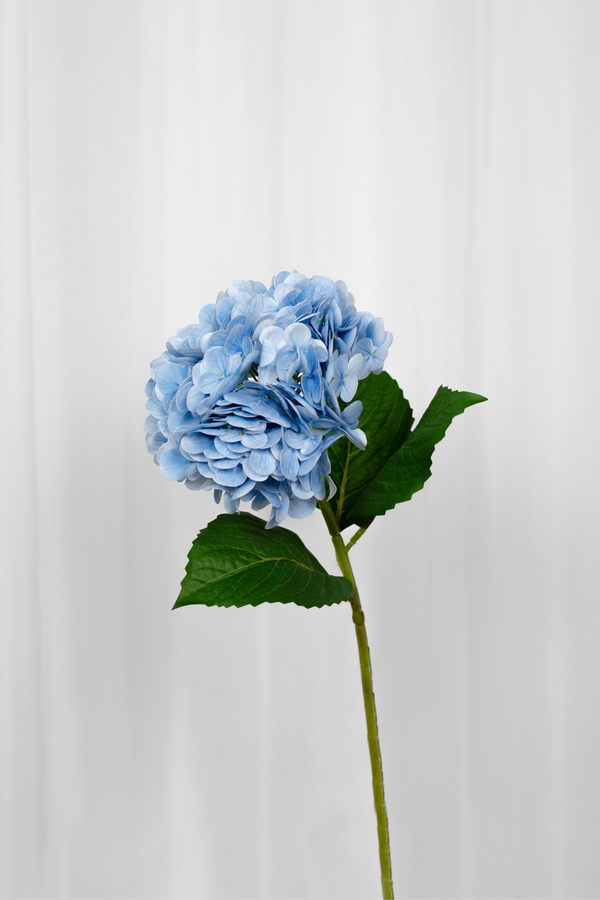 Kunstig blå hortensia.