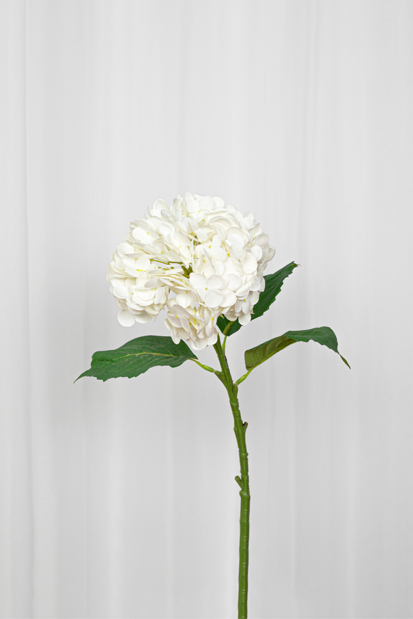 Kunstig hvid hortensia