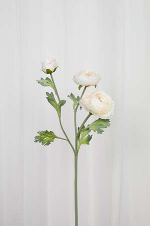 Kunstig hvid ranunkel blomst.