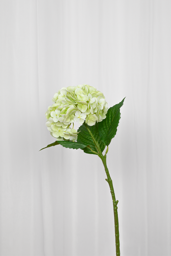 Kunstig lysegrøn hortensia.
