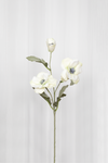 Anemone Kunstig Blomst - Hvid