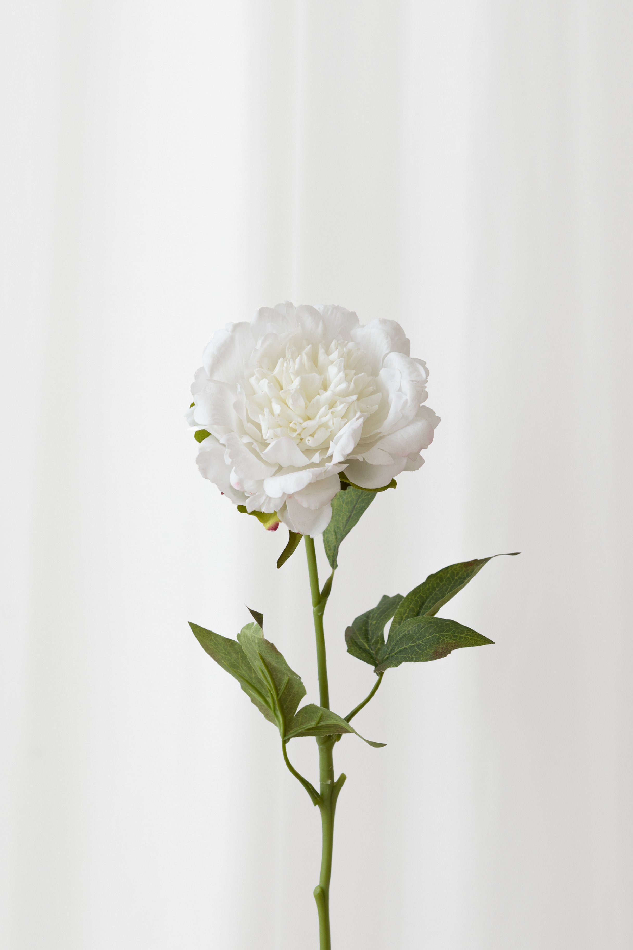 Hvid pæon med reel touch følelse. Kunstig blomst fra Specktrum med naturtro detaljer. 