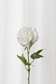 Hvid pæon med reel touch følelse. Kunstig blomst fra Specktrum med naturtro detaljer. 