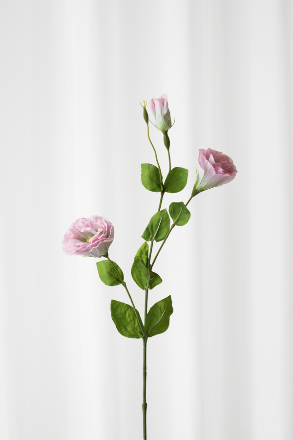 Lisianthus blomt i lyserød fra Specktrum. Kunstig stilk med naturtro detaljer.
