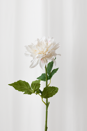Naturtro kunstig dahlia blomst i hvid med reel touch følelse.