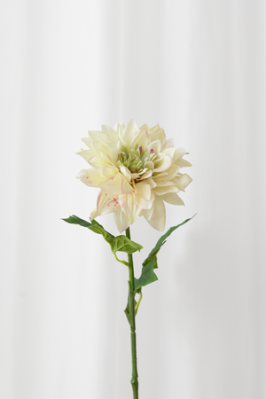 Naturtro kunstig dahlia blomst i grøn-gule nuancer og små stænke af pink med reel touch følelse.