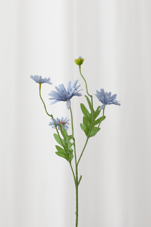 Specktrum naturtro kunstig daisy med 5 hoveder. Blå blomster og grønne blade med høj detaljegrad. 