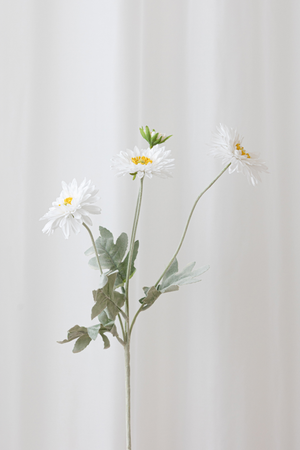 Naturtro kunstig daisy med hvide blomster og grønne blade med høj detaljegrad. Naturtro blomster til konkurrencedygtige priser.