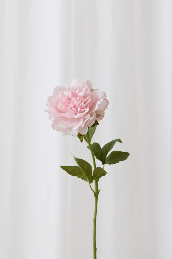 Kunstig blomst fra Specktrum med naturtro detaljer. Lys pink pæon med reel touch følelse. 