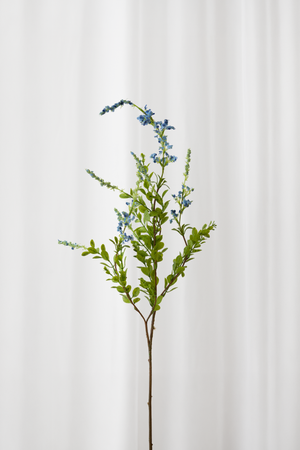 Naturtro kunstig sage gren med blå blomster og grønne blade med høj detaljegrad.