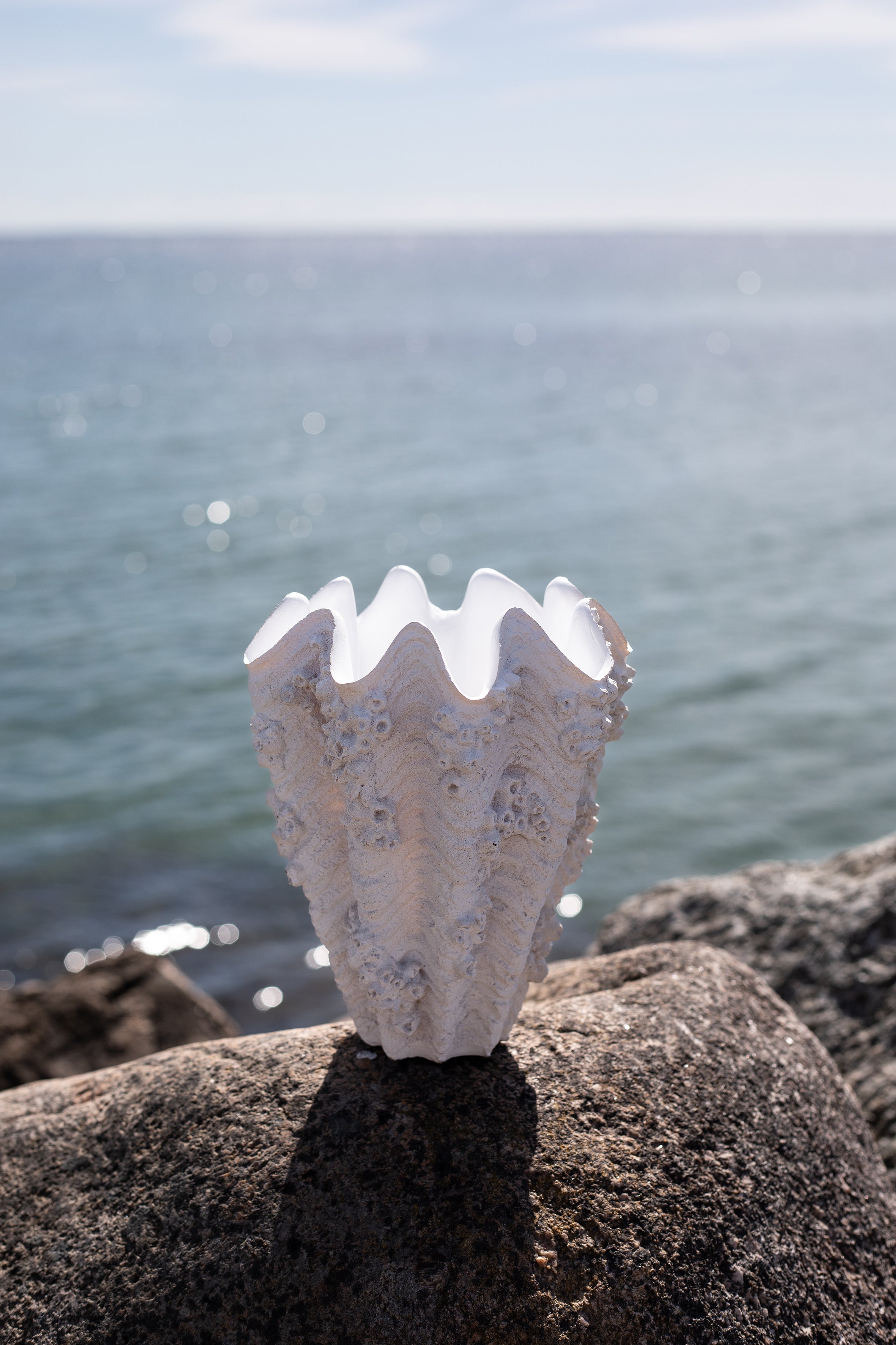 Naya vasen stående på en sten ved havet. Vasen er inspireret af muslinger.