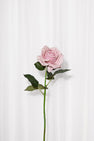 Kunstig rose i støvet rosa med blade, der føles som en ægte rose. Blomsten er fra Specktrum.
