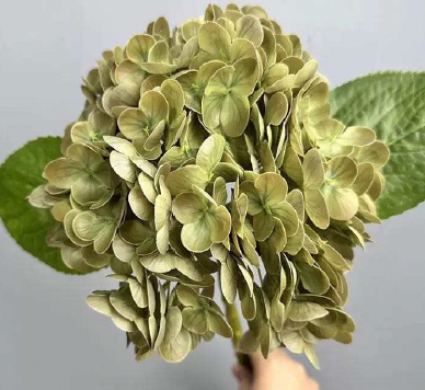Hortensia Kunstig Blomst - efterårsgrøn