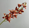 Dendrobium Kunstig Blomst - brændt orange