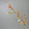 Fontanesia Gren Kunstig Blomst - orange