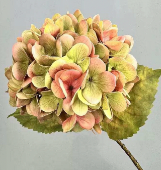 Hortensia Kunstig Blomst - lyserød/grøn