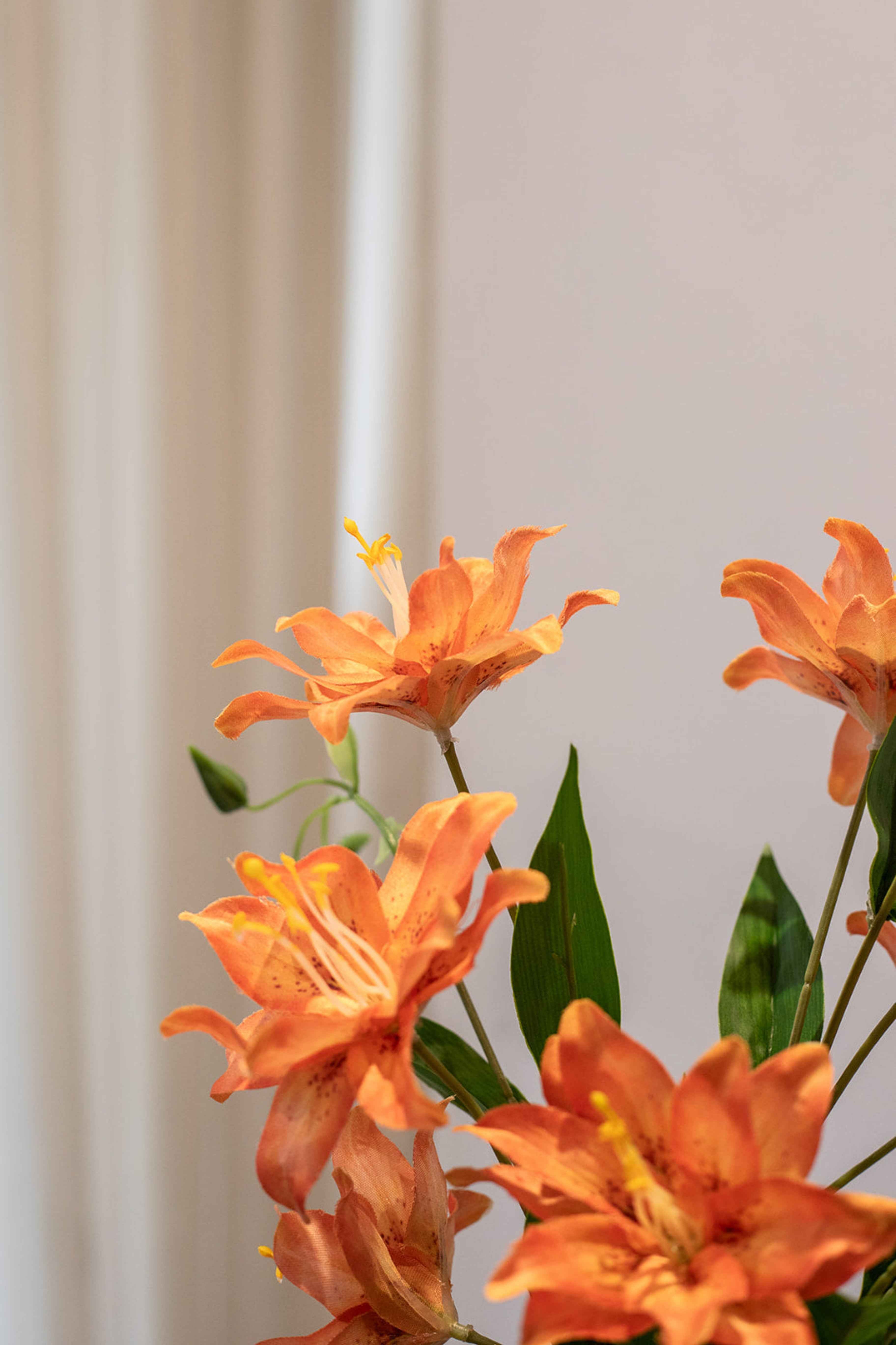 Solstrejf - Buket 90