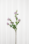 Fontanesia Kunstig Blomst - Hvid med lilla