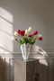 Tulipanbuket No.3 - Rød/hvid