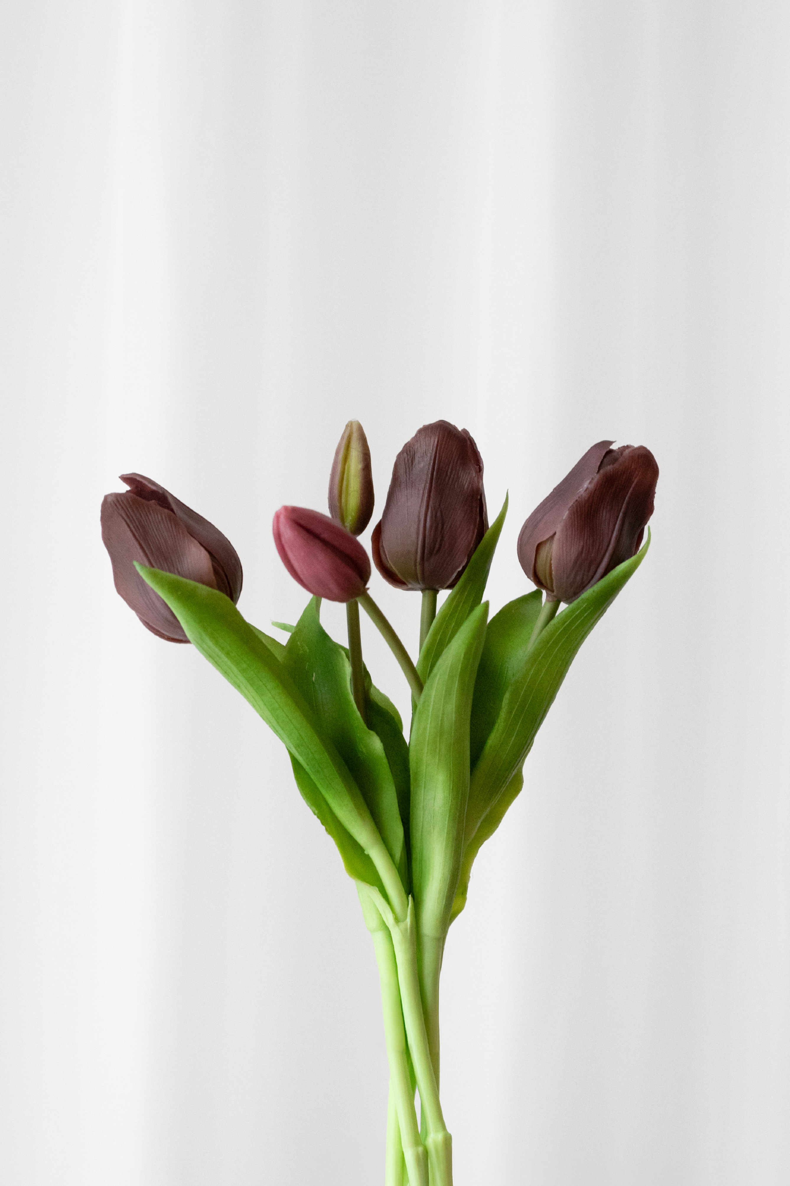 Tulipanbundt fra Specktrum i støvet lilla.
