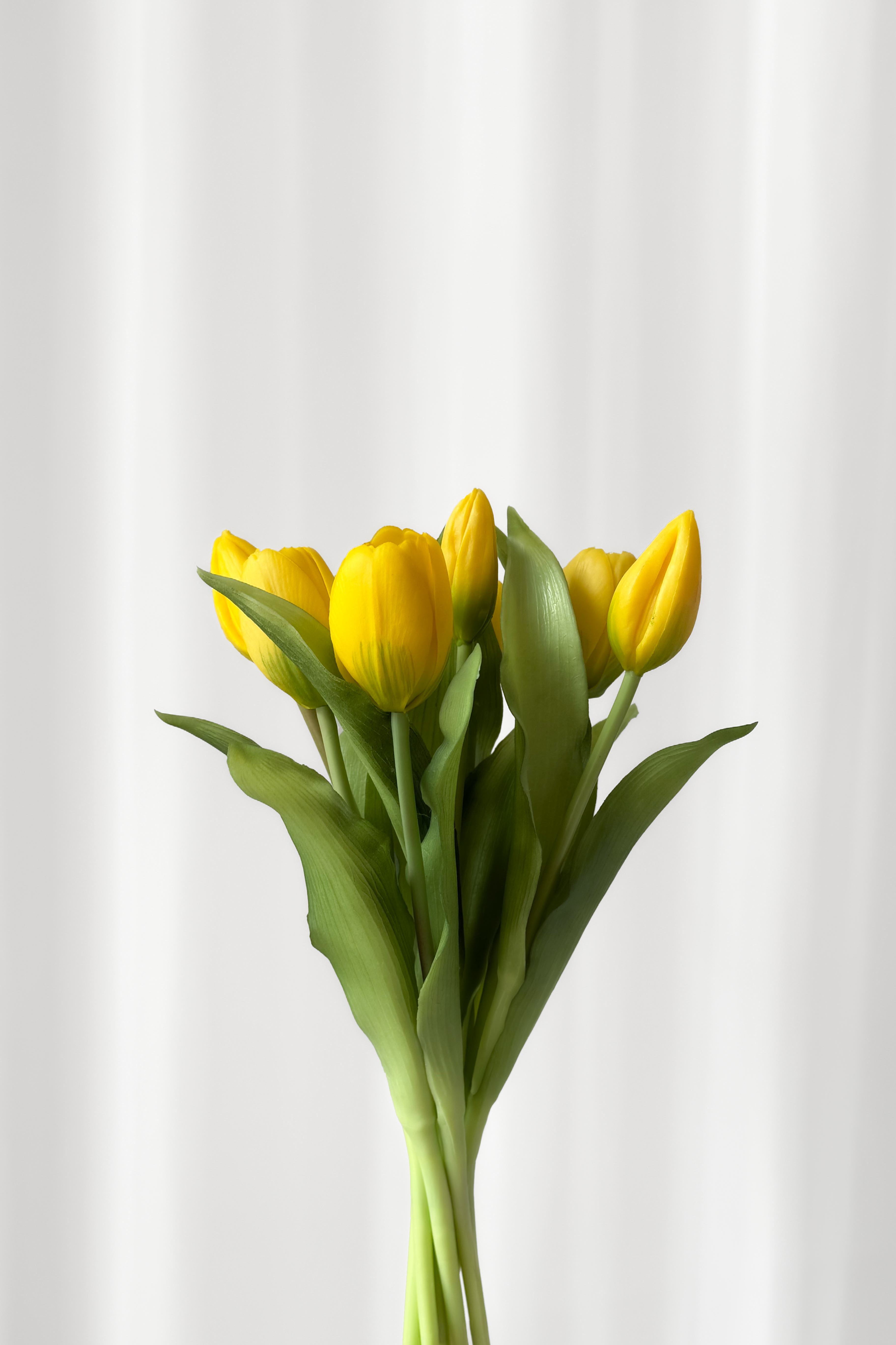 Bundt af tulipaner i gul.