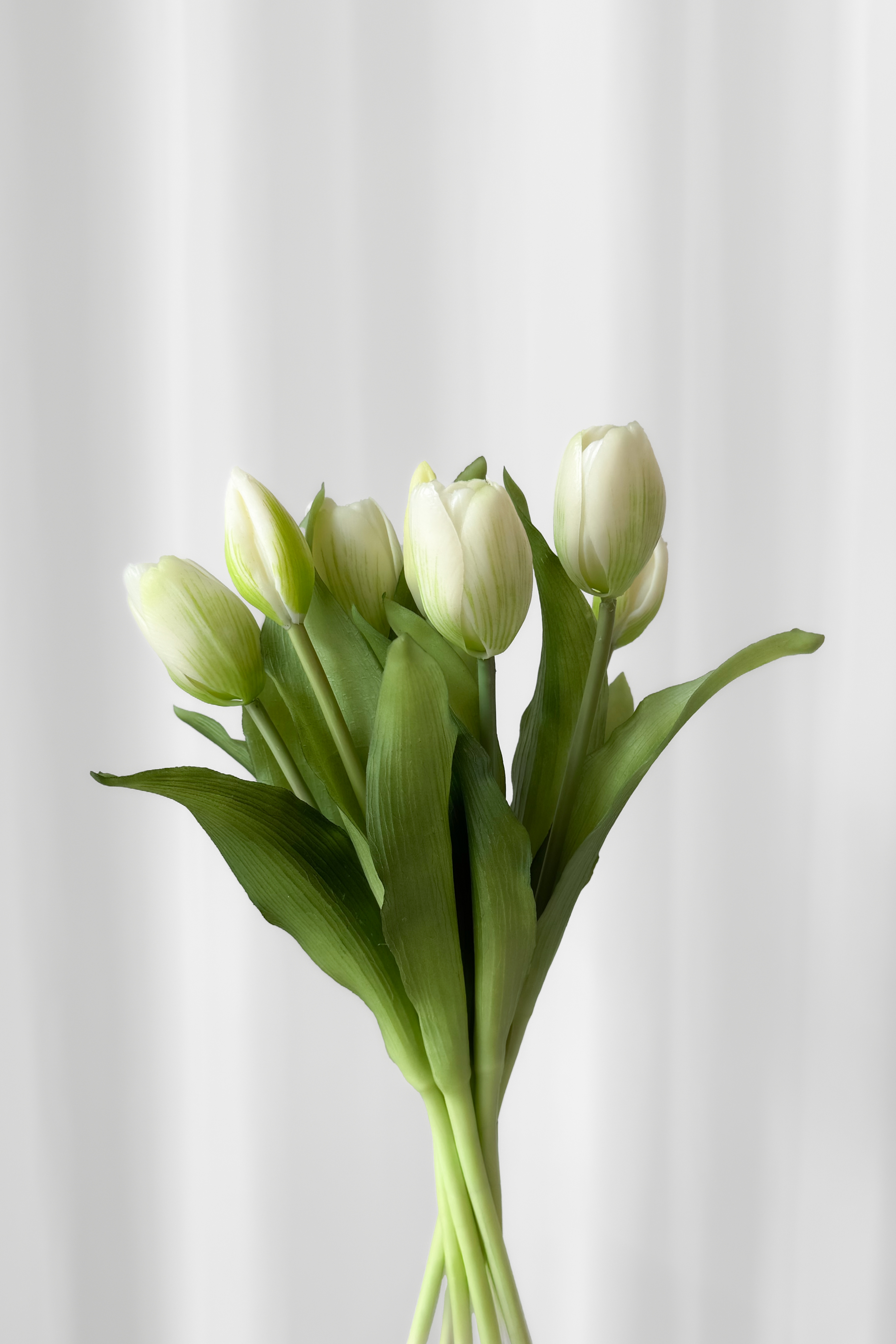 Tulipaner i bundt med hvide hoveder.