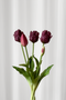 Tulipanbundt 2 - mørkelilla