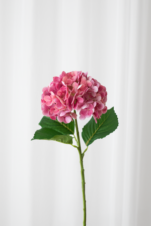 Kunstige mørk rosa hortensia fra specktrum