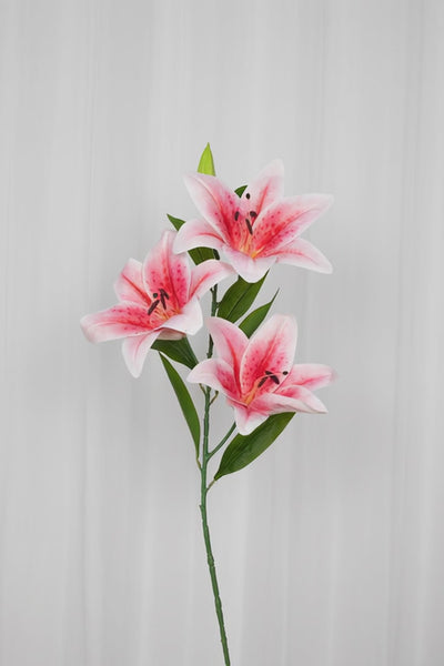 Stor lilje i en rosa farve, med 3 blomsterhoveder.