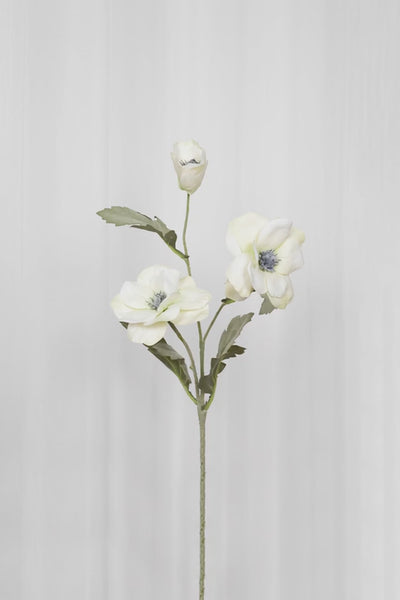 Video af Kunstig hvid anemone