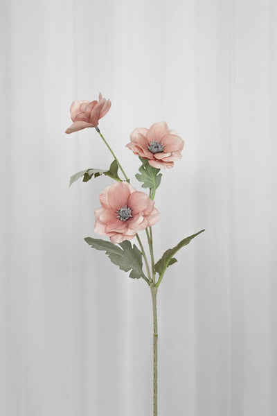 Video af Kunstig valmue i en støvet rosa farve.