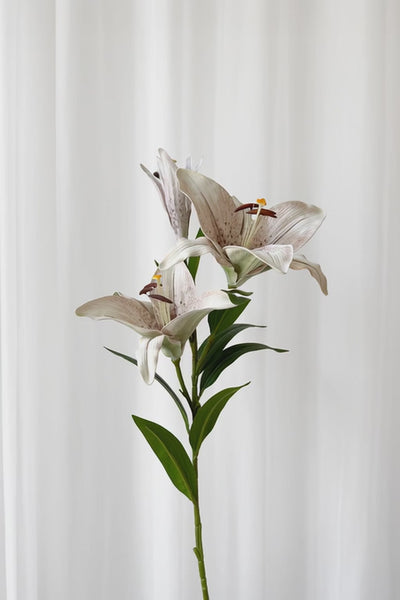 Video af Kunstig Blomst - Hvid Stor Lilje gren