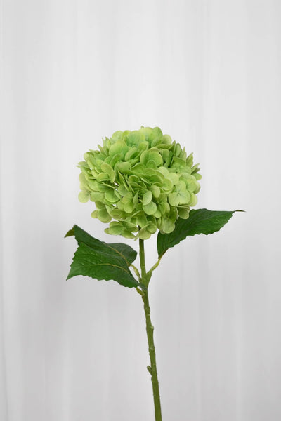 Video af kunstig grøn hortensia