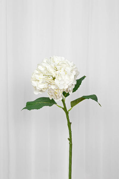 Video af hvid kunstig hortensia 