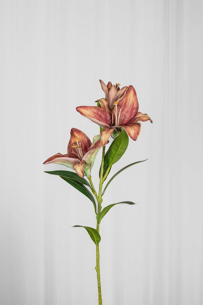 Video af Kunstig Blomst - Bordeaux Stor Lilje gren