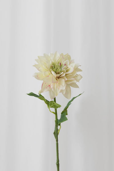 Video af Naturtro kunstig dahlia blomst i grøn-gule nuancer og små stænke af pink med reel touch følelse.