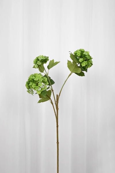 Video af Kunstig grøn hortensia gren med tre hoveder.