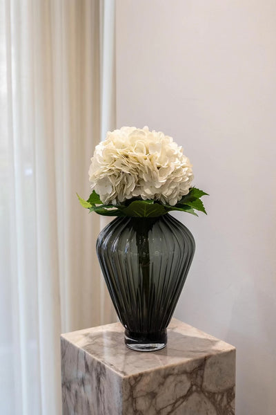 En mørk glasvase med lodrette riller, fyldt med en enkelt stor hvid hortensia med grønne blade. Vasen står på en marmorpedestal foran et lyst gardin og en lys væg.