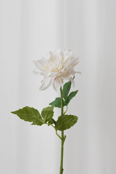 Video af Naturtro kunstig dahlia blomst i hvid med reel touch følelse.