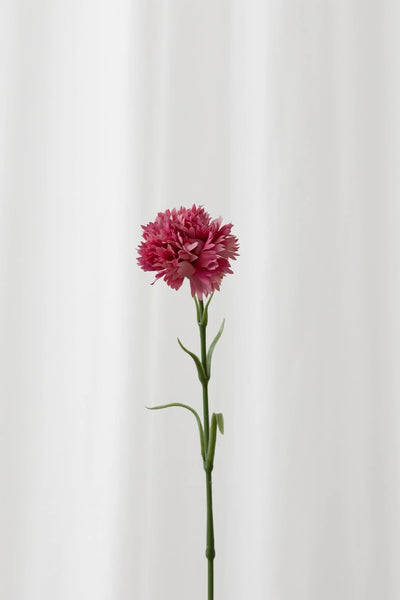 Video af Naturtro kunstig nellike i hot pink fra Specktrum.